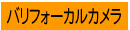 �o���t�H�[�J���J����