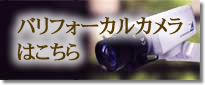 バリフォーカルカメラはこちら